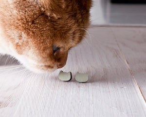 Wooden Mint Cat Stud Earrings